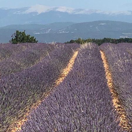 Provence Luberon Bonnieux Location Gite Chez Marcelle Экстерьер фото